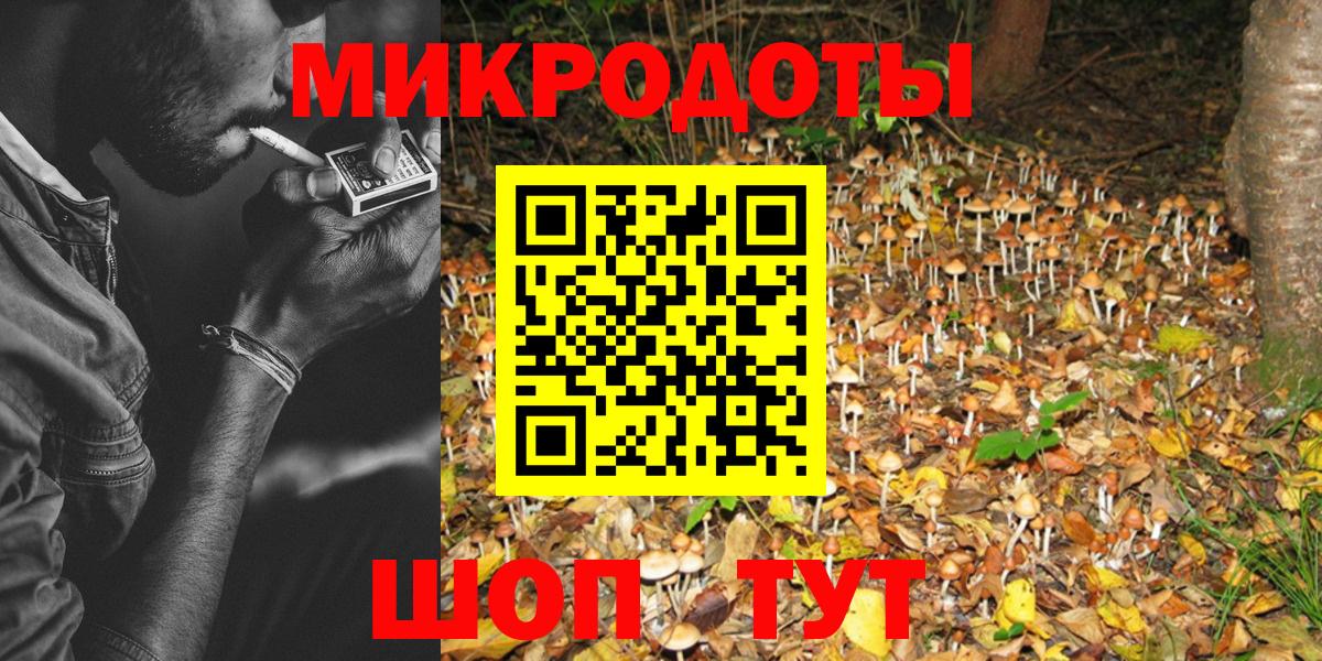 Вольск  Псилоцибиновые грибы Psilocybe  Вход с VPN 